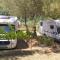 AGRiCAMPiNG POGGiO Ai PiNi WiNE CAMPiNG
