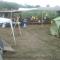 Camp Tomasevic