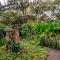 Htl & Villas Comala, alberca , parking, céntricas, Petfriendly