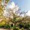 Htl & Villas Comala, alberca , parking, céntricas, Petfriendly - Comala