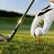 Apartment Fontana Golf Villamartin