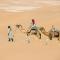 Bivouac Les Nomades & Foum zguid to chegaga tours