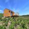 Tiny house au cœur du vignoble beaujolais - Fleurie