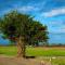Clare Holiday B&B