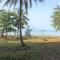 Cameron Island Resort
