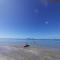 Cameron Island Resort