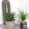 bbolbia - bed and breakfast