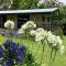 Bundara - Idyllic Getaway in the Mountains