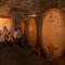 Marchesi Alfieri - Cantine e Ospitalità - San Martino Alfieri