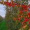 Hasbania Vakantiewoning
