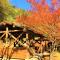 Nature Resort in Shimanto - Funato