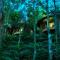 Poetree Thekkady