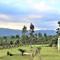 Round Here Self-Catering Holiday Home - Sabie