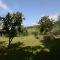 Agriturismo La Casella - Castelfranco di Sopra