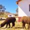 La Chakana Lodge