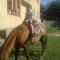 Lia Jamdeliani Guest House
