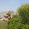 TRULLO Minuetto