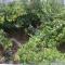 Apartments with parking space Makarska - 11361