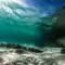 Calangos Beach-House-Arraial do Cabo