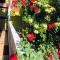 Horizon Homestay