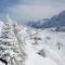 Chalet Fiocco di neve, Passo del Tonale