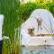 Oliveyard Stone Built House- with pool non chlorin - Koskinou