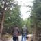 Timjan Forest Resort