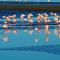 Arabia`s Loft II Nuevo Portil