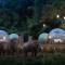 Anantara Golden Triangle Elephant Camp & Resort - Golden Triangle