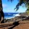 Kehena Treetop Bungalow home - Pahoa