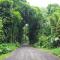 Kehena Treetop Bungalow home - Pahoa