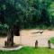 Sigiriya Rock Hide