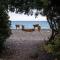 New Camping Coccorrocci - Marina di Gairo