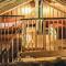 Holiday Home Kuruhovi a by Interhome