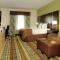 Holiday Inn Christiansburg Blacksburg by IHG