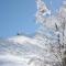 Chalet les Eglantines