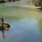 Accommodation Destina, LAKE BOHINJ