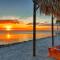 202-Pool, WIFI, Close to BUCS STADIUM - Tampa