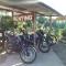 Hostal y Camping Los Girasoles