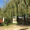 The Willow Tree
