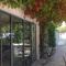 The Willow Tree