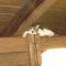 Ferienpension Posthof