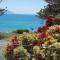 The Hamptons - Kaikoura
