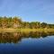 Kosi Forest Lodge