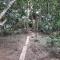Xingú Camping Site