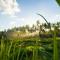 Alpin Resort and Villa Ubud