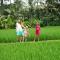 Santun Luxury Private Villas-CHSE CERTIFIED