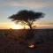Sahara Peace