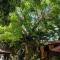 ThalassaGarden Hotel - Pousada