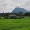 Private cozy family house, paddy field scenery - Ban Hua Khot